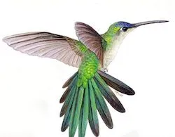 Raum am Ozean Raum am Ozean